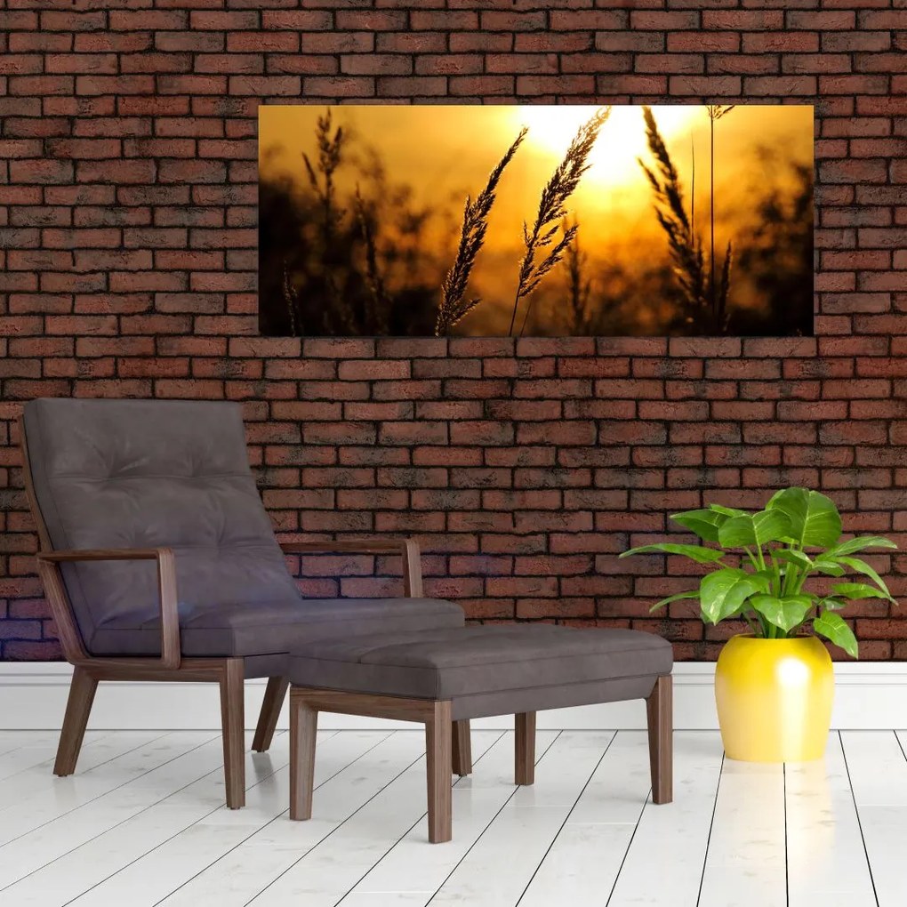 Tablou - Apus de soare (120x50 cm)