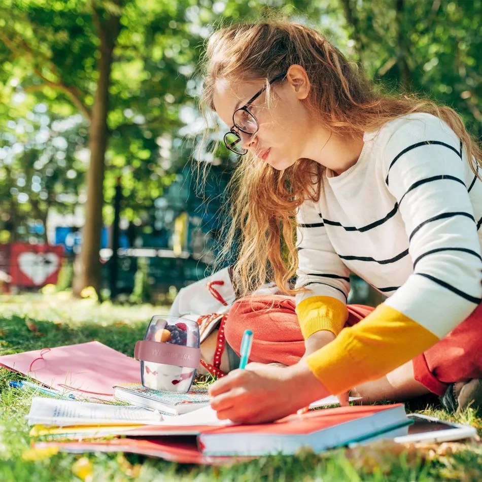 Cutie pentru gustări din două piese Westmark MAXI,700 ml , roz, L