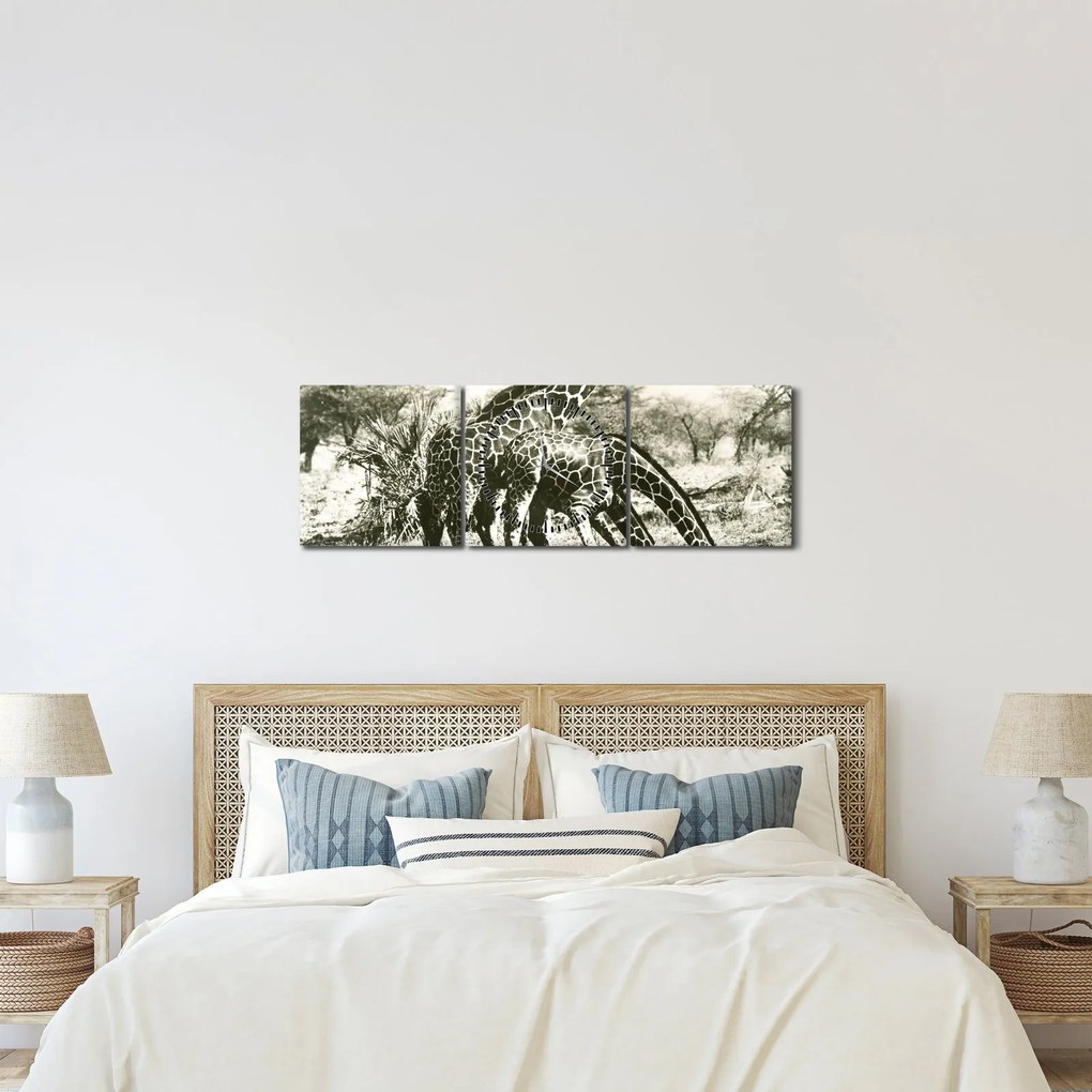 Tablou - Girafe, de epocă (cu ceas) (90x30 cm)