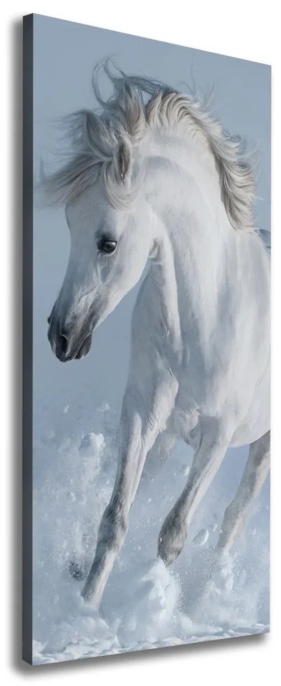 Tablou canvas Cal alb în galop