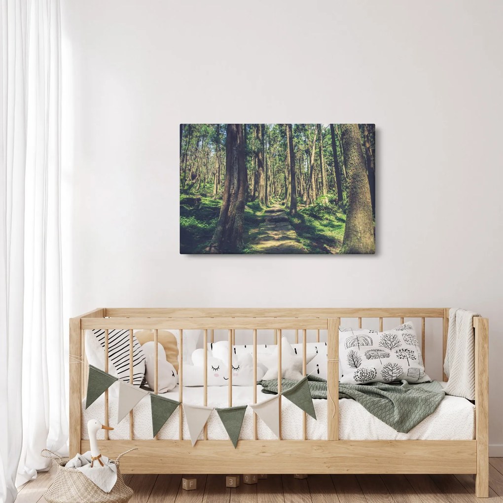 Tablou cu drum între copaci (90x60 cm)
