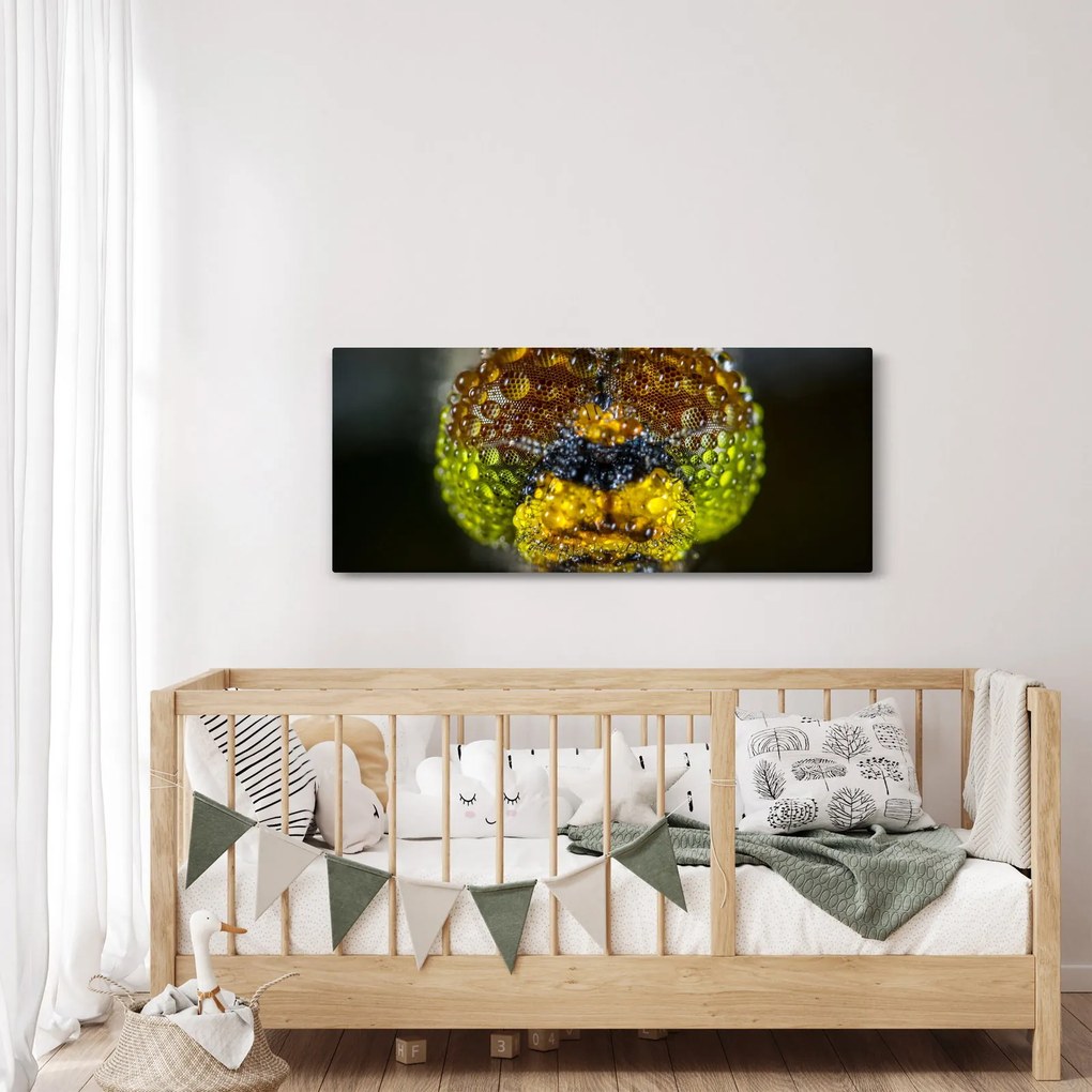Tablou detailat cu ochii de omidă (120x50 cm)