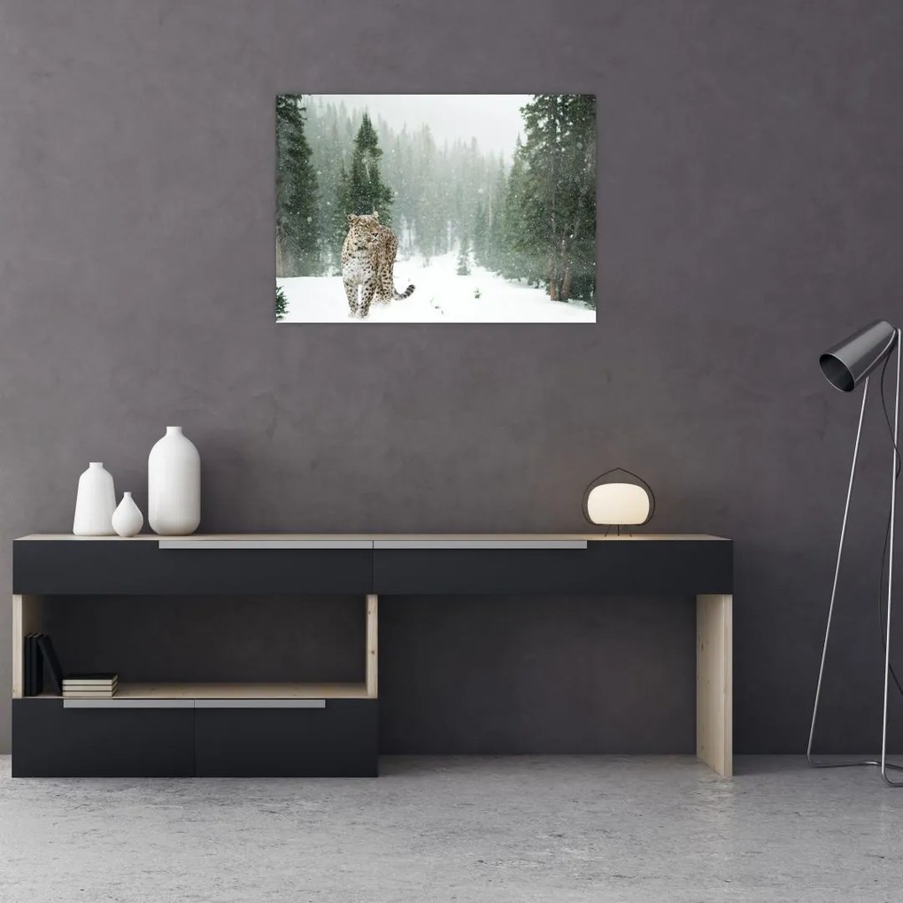 Tablou pe sticlă cu leopard în zăpadă (70x50 cm)