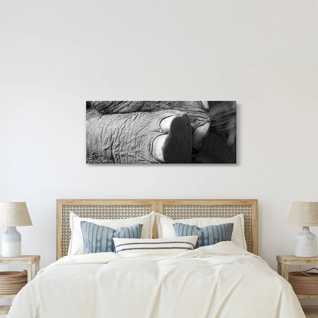 Tablou - Picior de elefant (120x50 cm)