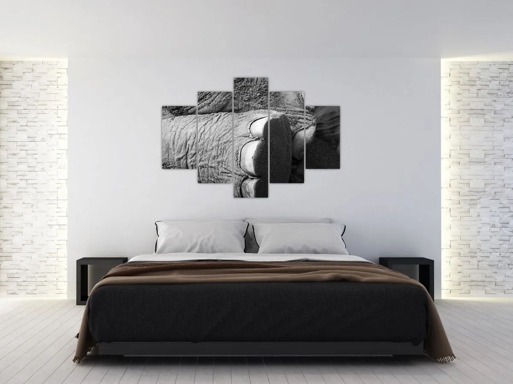 Tablou - Picior de elefant (150x105 cm)
