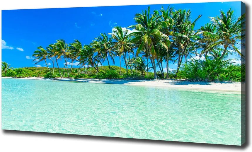 Tablou pe pânză canvas Plaja tropicala