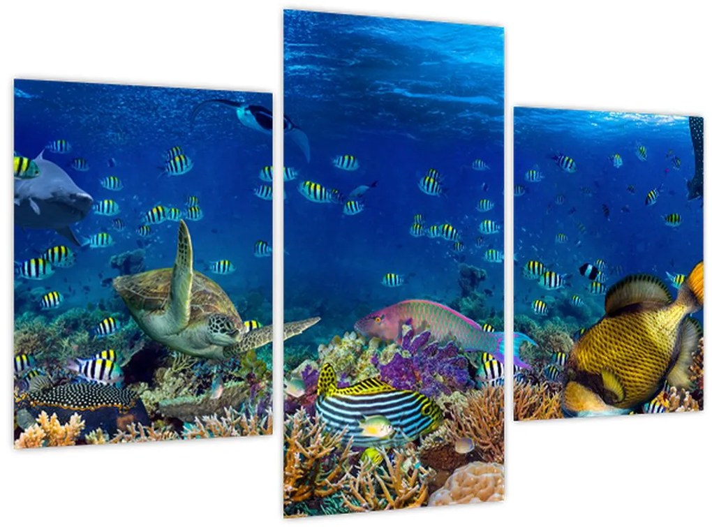 Tablou - Ocean (90x60 cm)