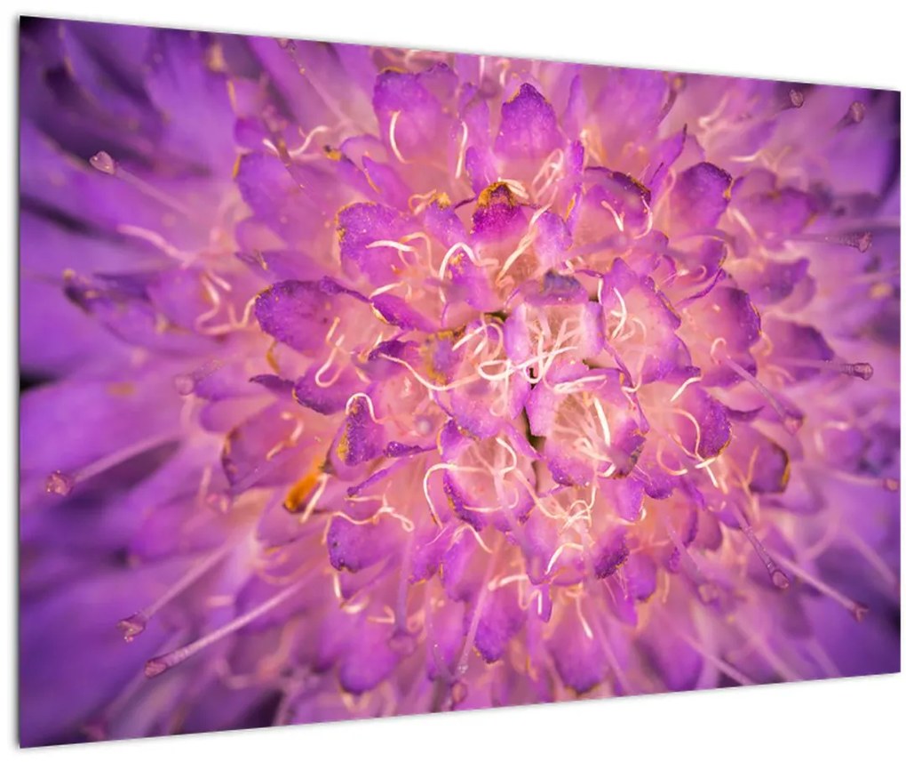 Tablou detailat cu floare (90x60 cm)