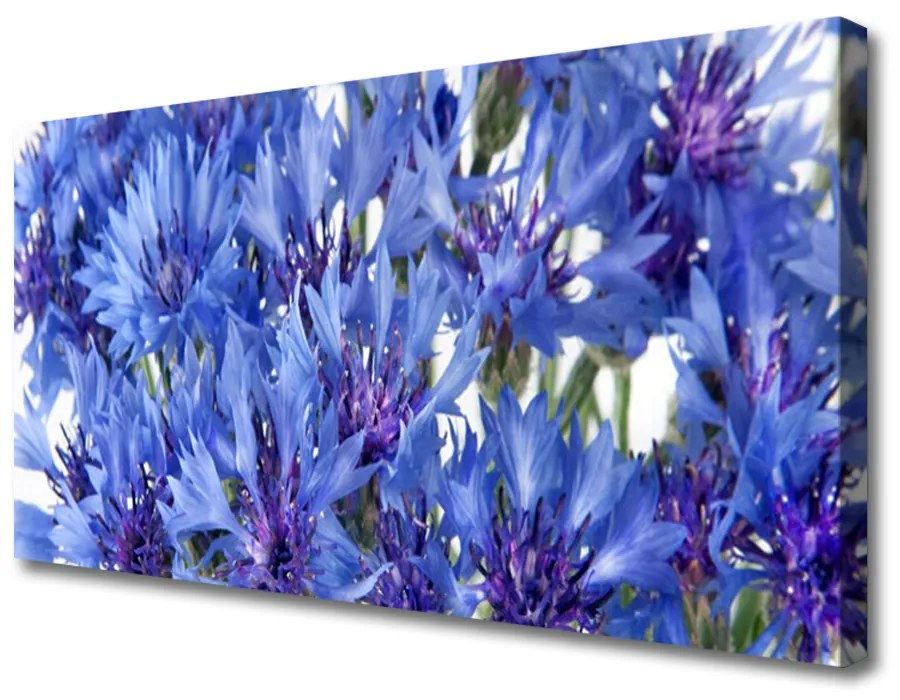 Tablou pe panza canvas Flori Floral violet