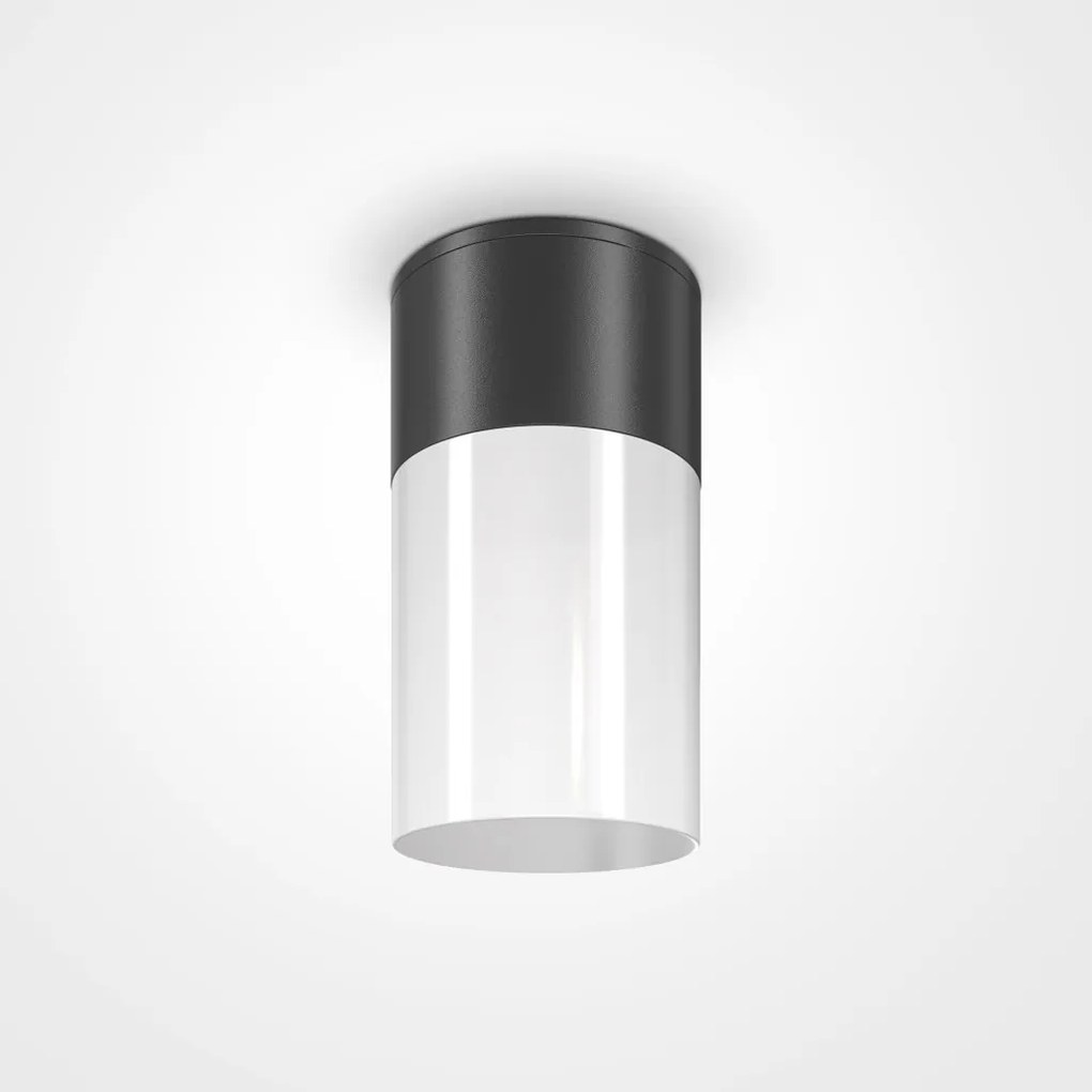 Spot aplicat, plafoniera pentru iluminat exterior IP54 Willis negru
