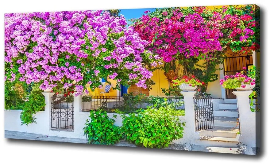 Print pe canvas Casa cu bougainvillea