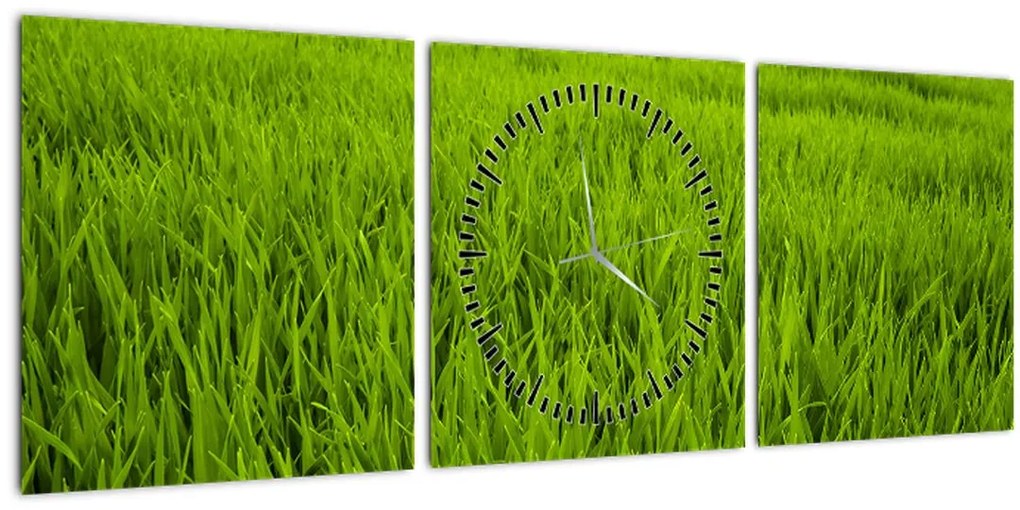 Tablou cu iaraba (cu ceas) (90x30 cm)