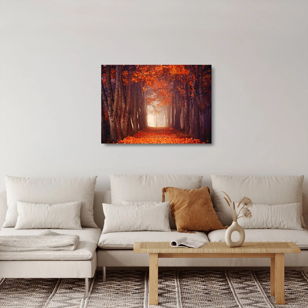 Tablou pe sticlă - Pădurea de toamnă (70x50 cm)