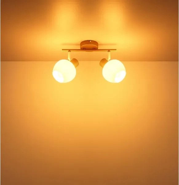 Globo 54662-2 - Lampă spot EILEEN 2xE27/40W/230V