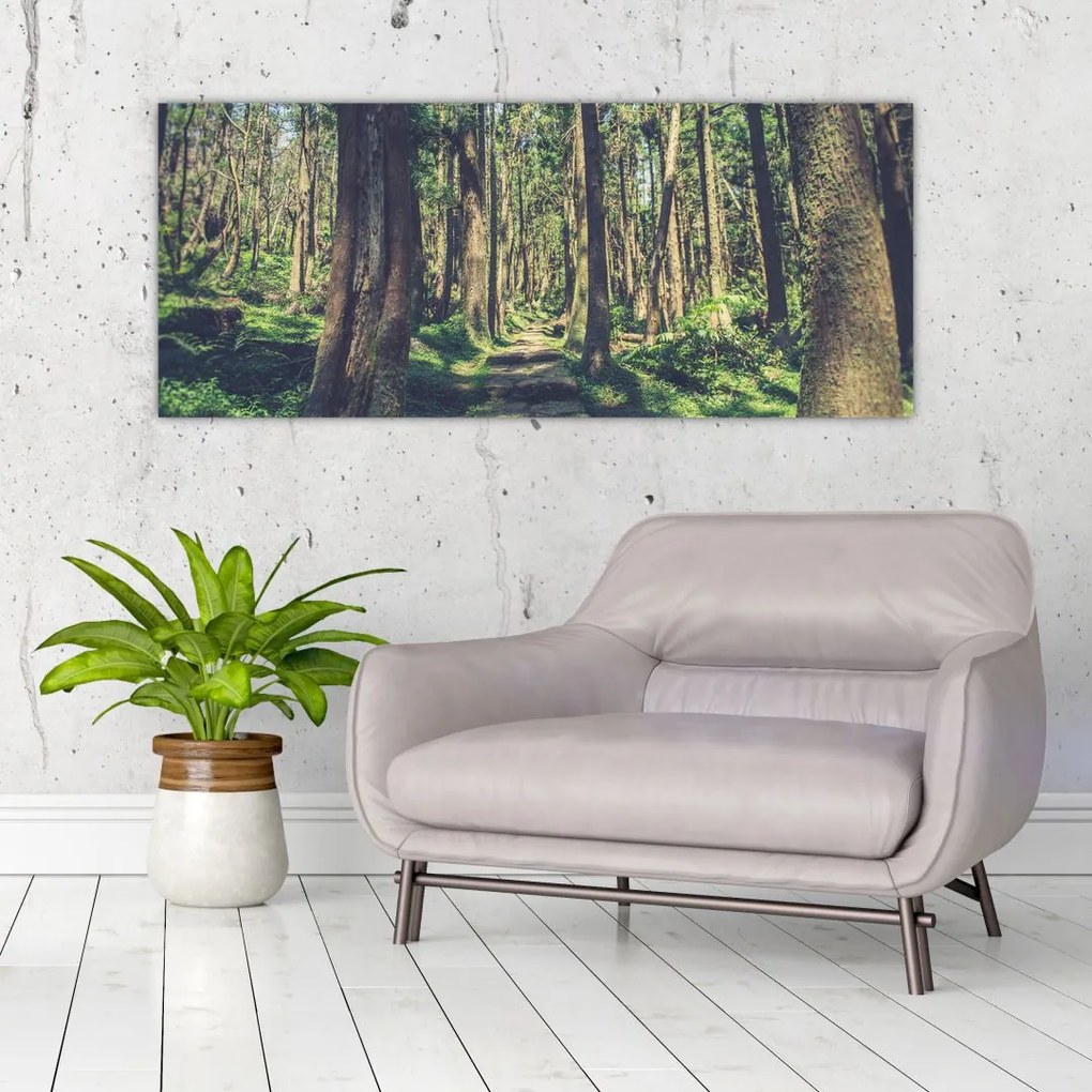 Tablou cu drum între copaci (120x50 cm)