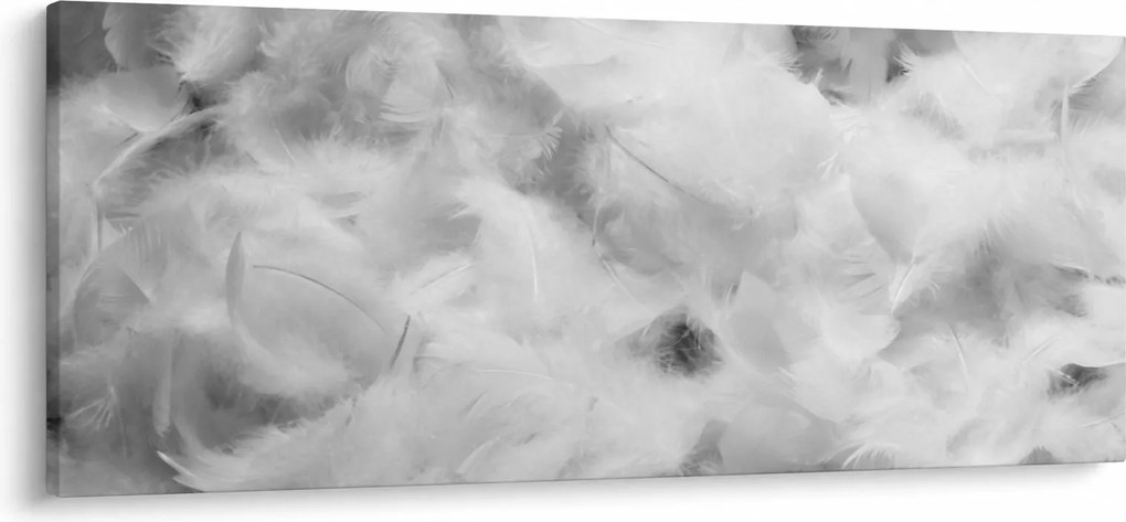Tablou - Nori de pene (120x50 cm)
