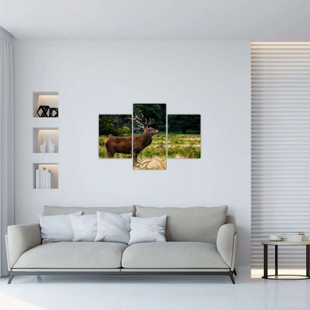 Tablou cu cerb (90x60 cm)