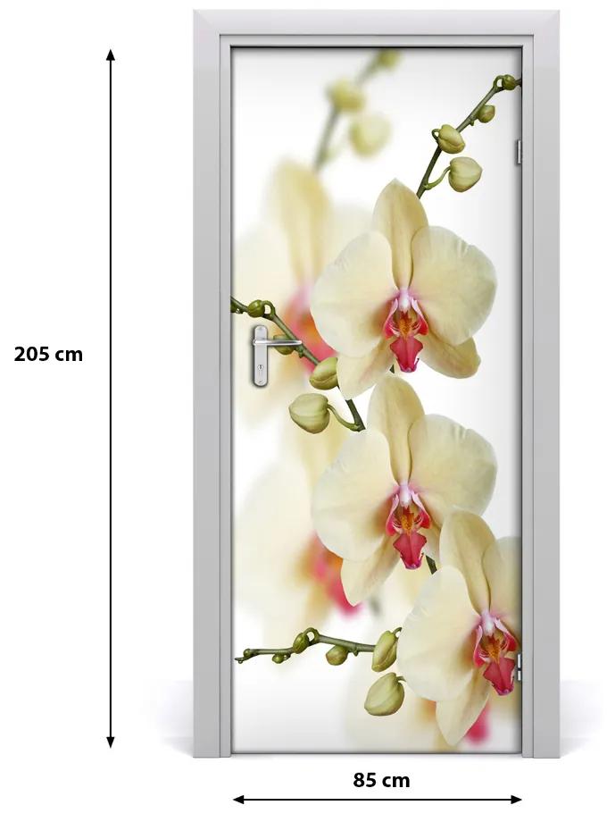 Autocolante pentru usi orhidee perete