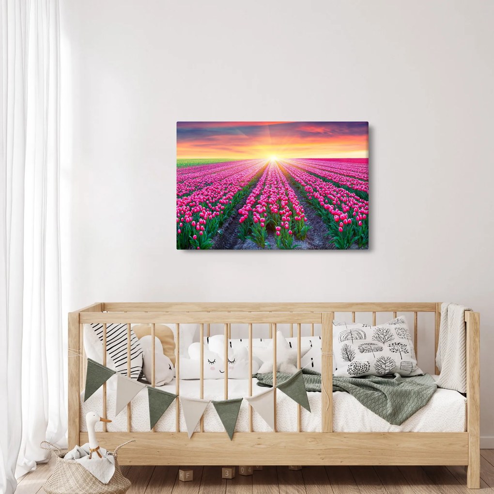 Tablou cu câmp de lalele cu soare (90x60 cm)