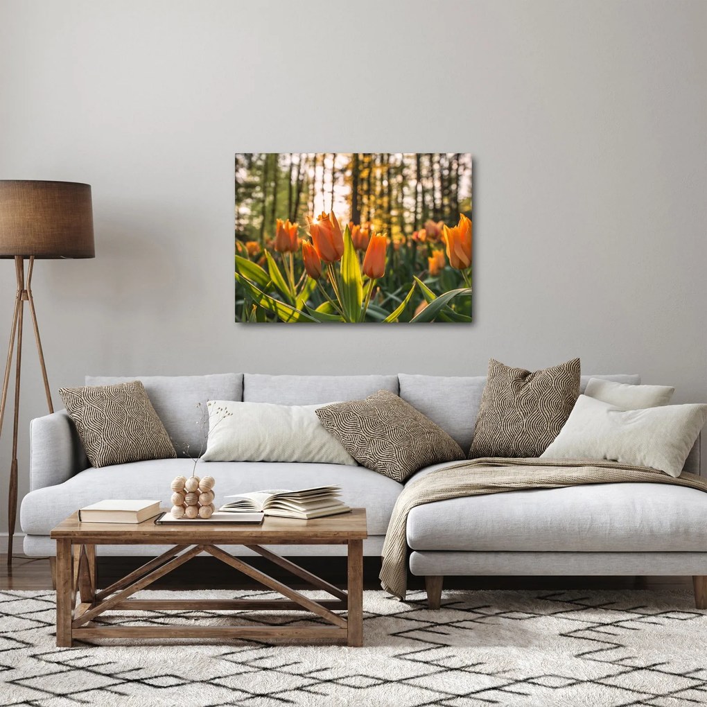 Tablou - florile lalelelor (70x50 cm)