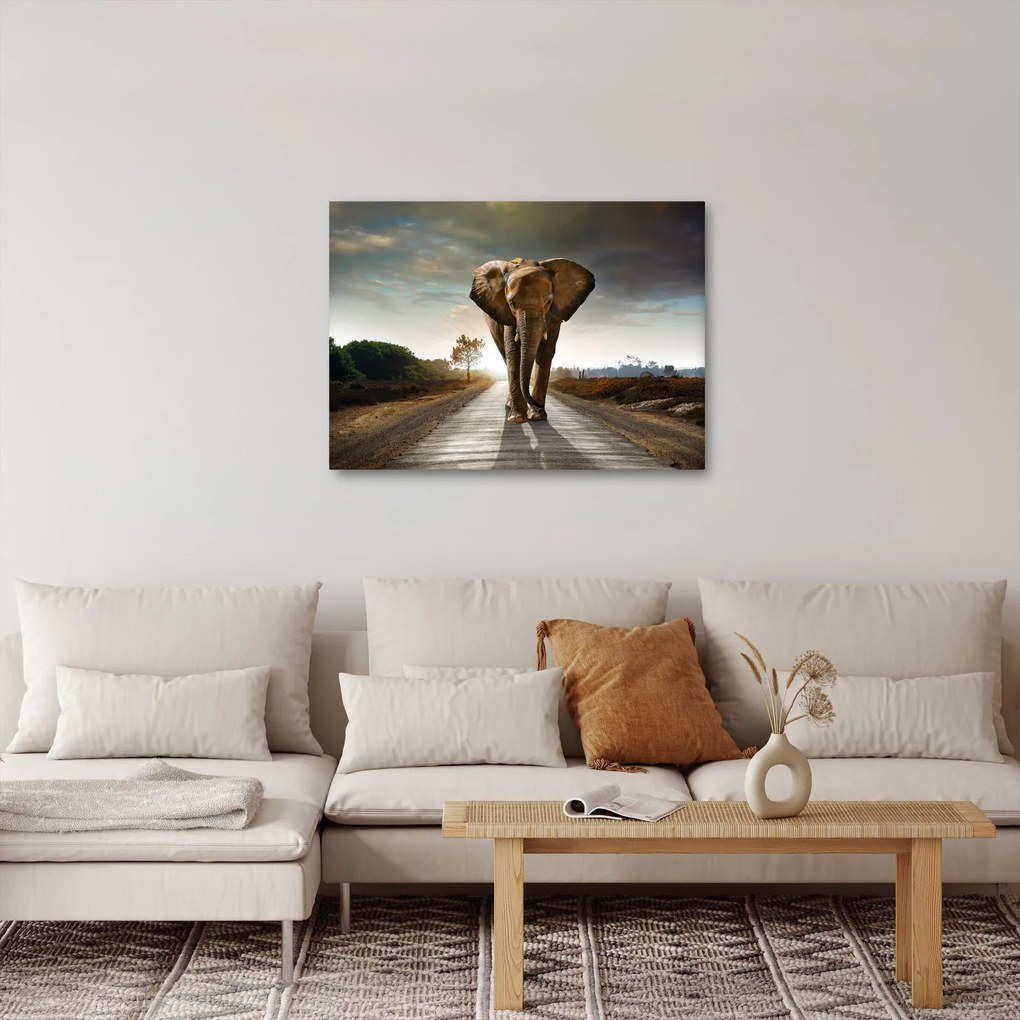 Tablou cu elefant (70x50 cm)