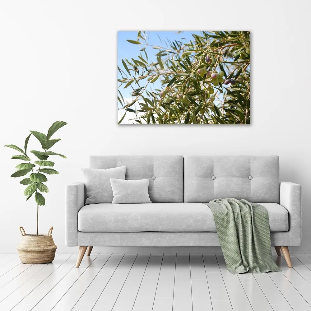 Imprimare tablou canvas Oliv