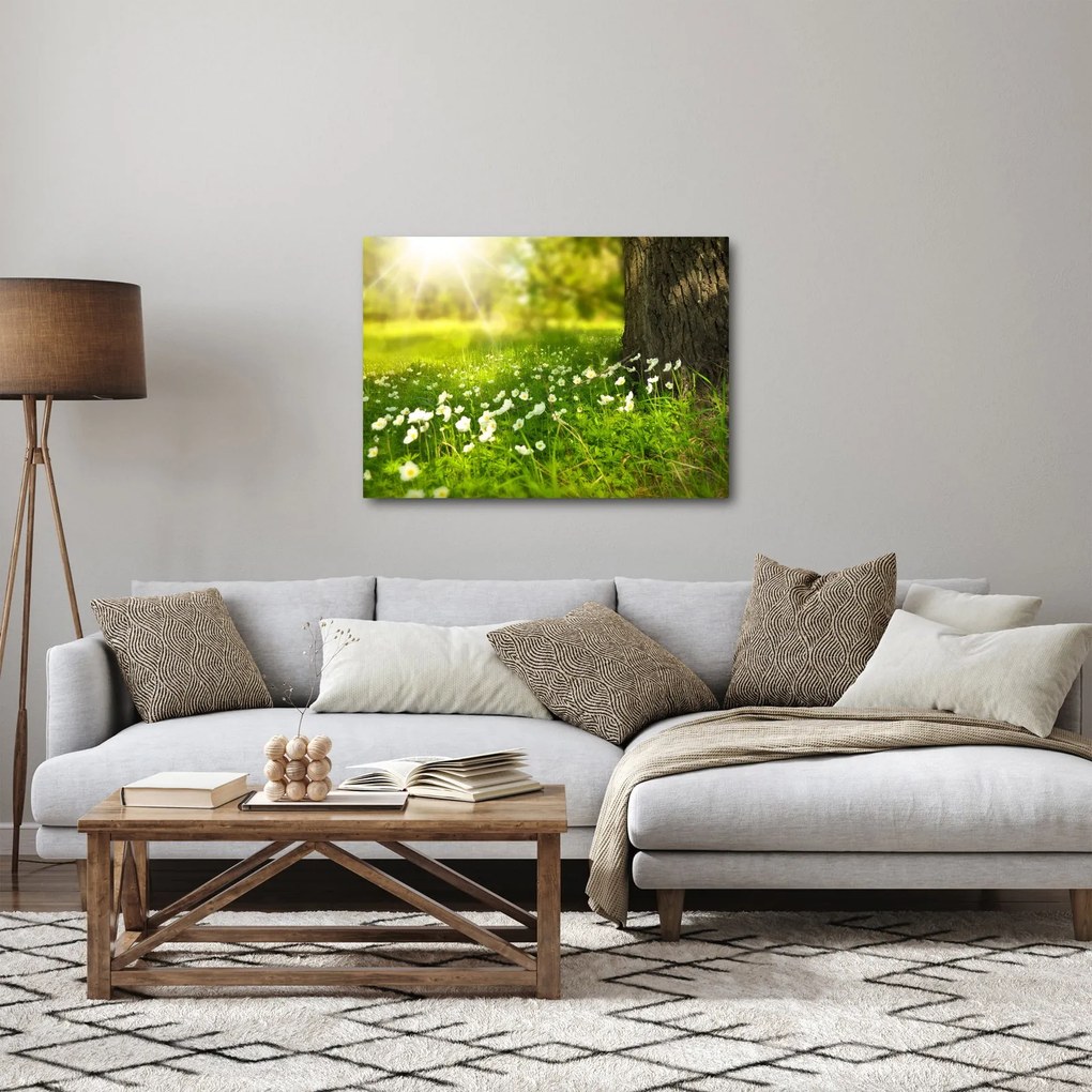Tablou cu poiana și flori (70x50 cm)