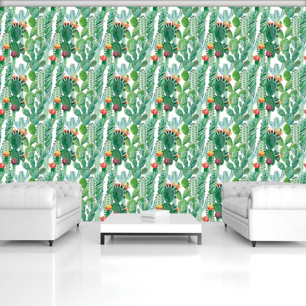 Fototapet - cactus (254x184 cm)