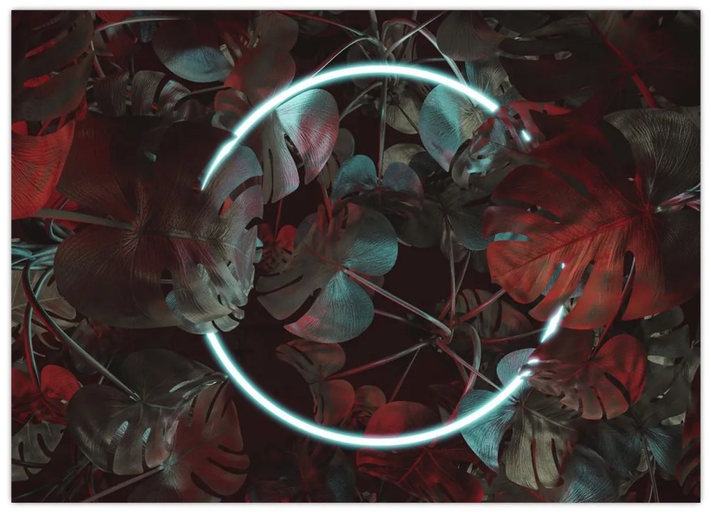 Tablou pe sticlă - Cerc de neon între palmieri (70x50 cm)