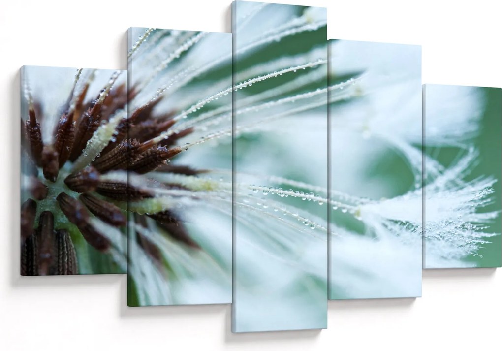 Tablou - Detaliu floare (150x105 cm)