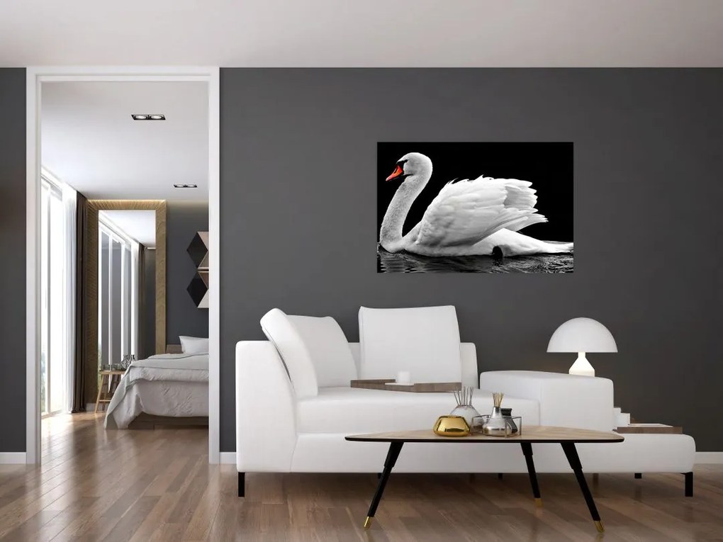 Tablou cu lebăda alb neagră (90x60 cm)