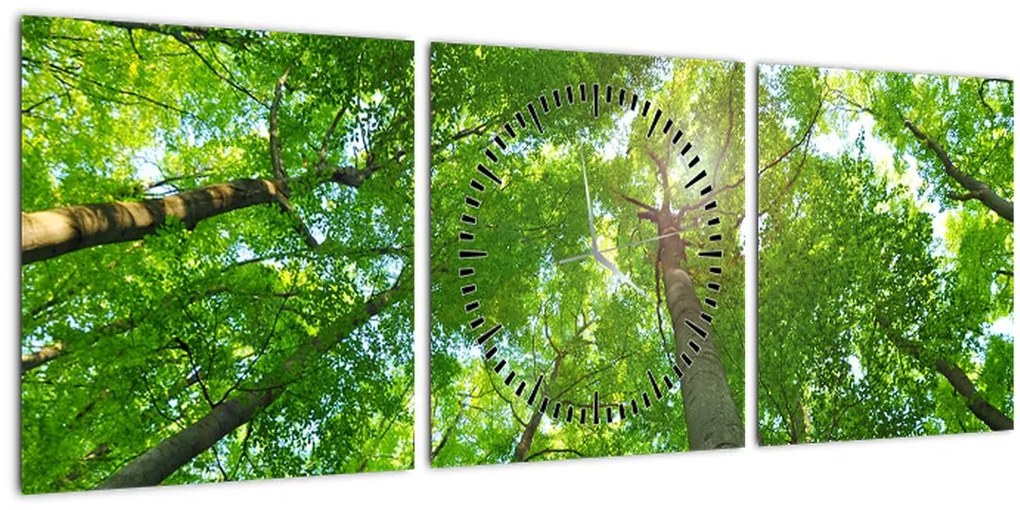 Tablou - Lunca (cu ceas) (90x30 cm)