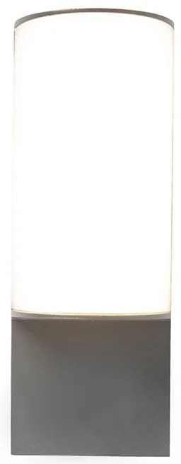 Lampă de perete exterioară modernă gri închis cu LED inclus - Harry