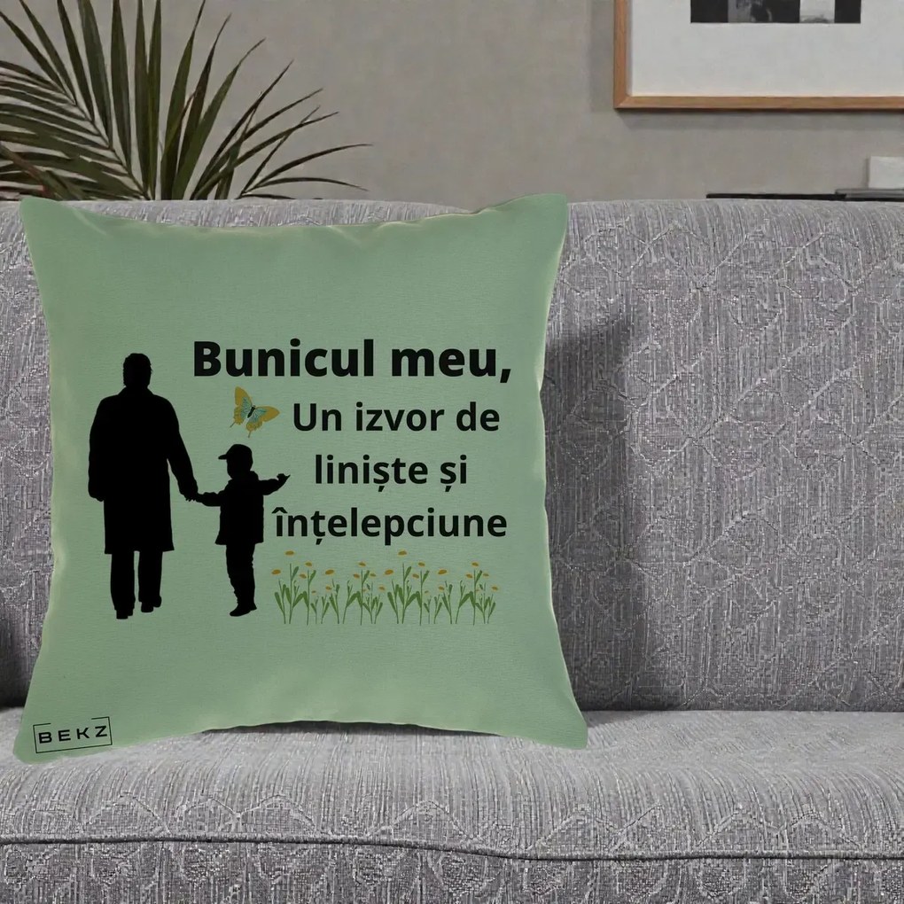 Cadou pentru Bunic - Perna Personalizata Bunicul Meu Izvor de Liniste cu Fluture si Baietel, 40x40 cm, Verde, Husa Detasabila, Perna Inclusa, BEKZ®