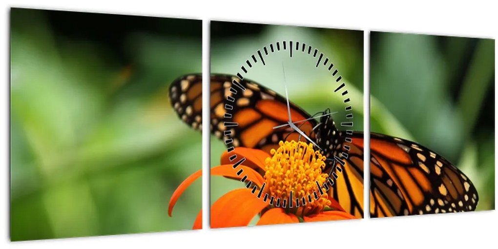 Tablou cu fluture pe floare (cu ceas) (90x30 cm)