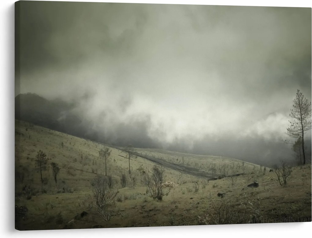 Tablou - Peisaj înainte de furtună (70x50 cm)