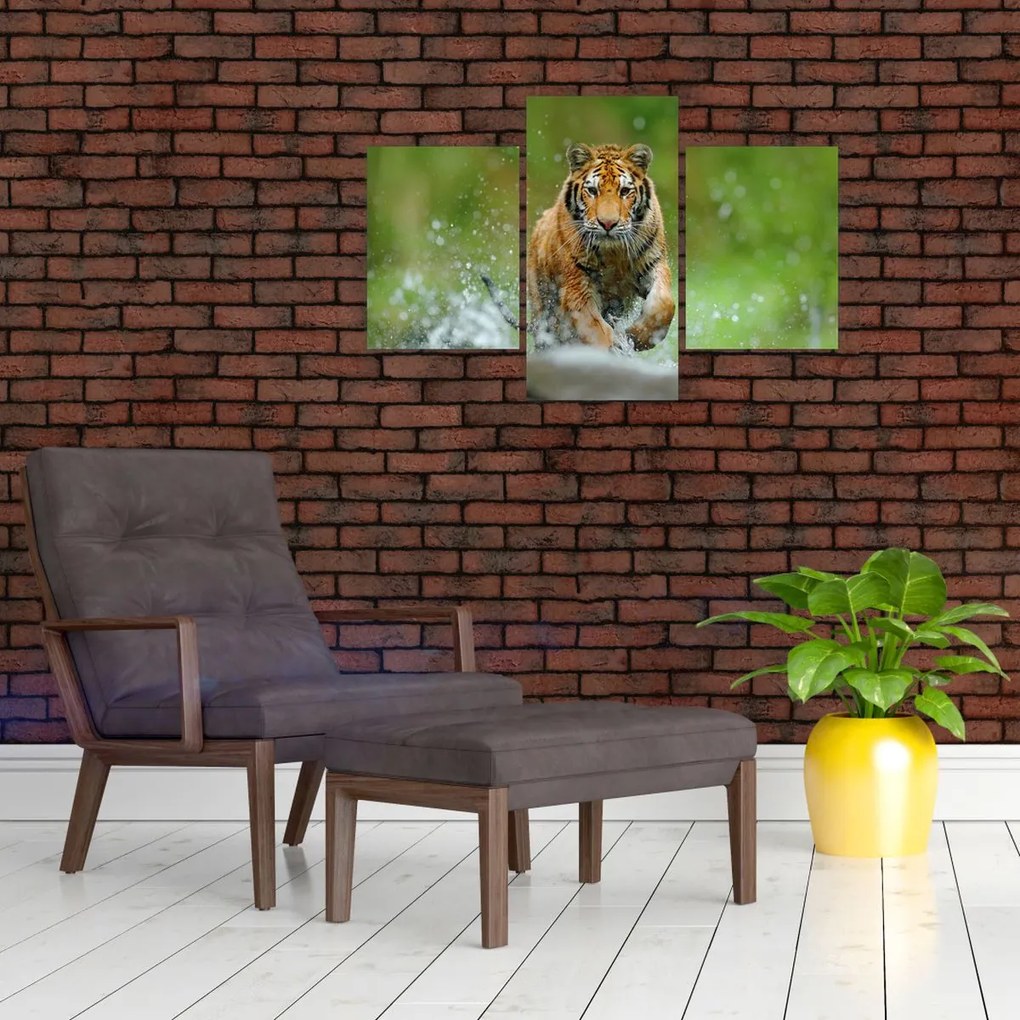 Tablou - Tigru care aleargă (90x60 cm)