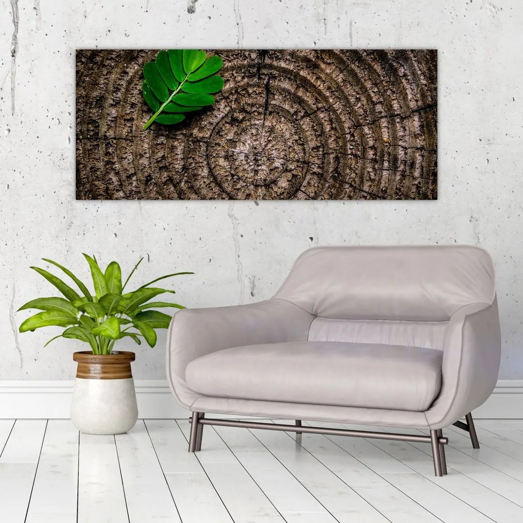 Tablou cu frunză pe trunchi de copac (120x50 cm)