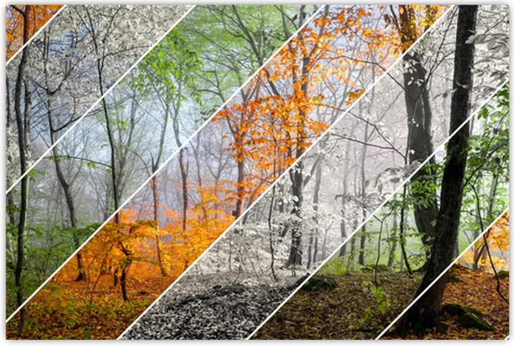 Tablou - Schimbarea anotimpurilor (90x60 cm)