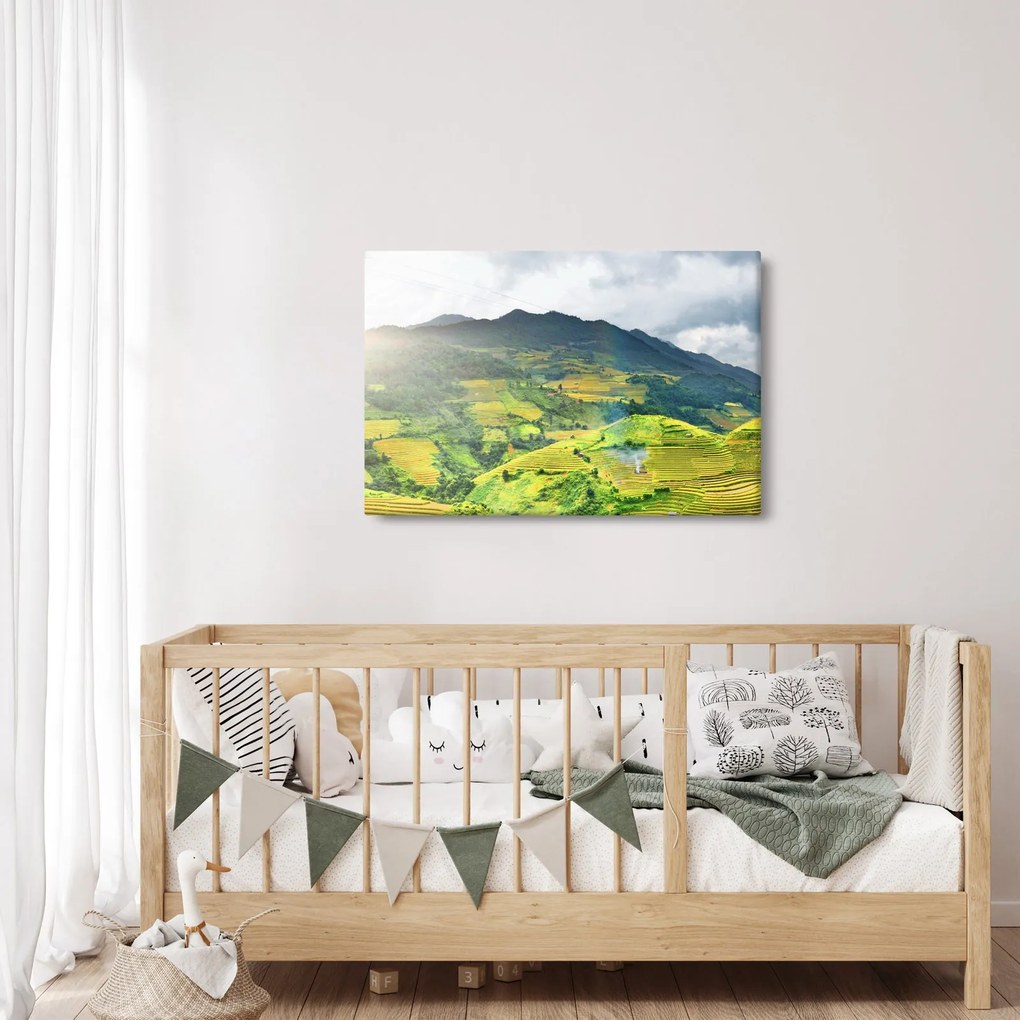 Tablou plantație (90x60 cm)