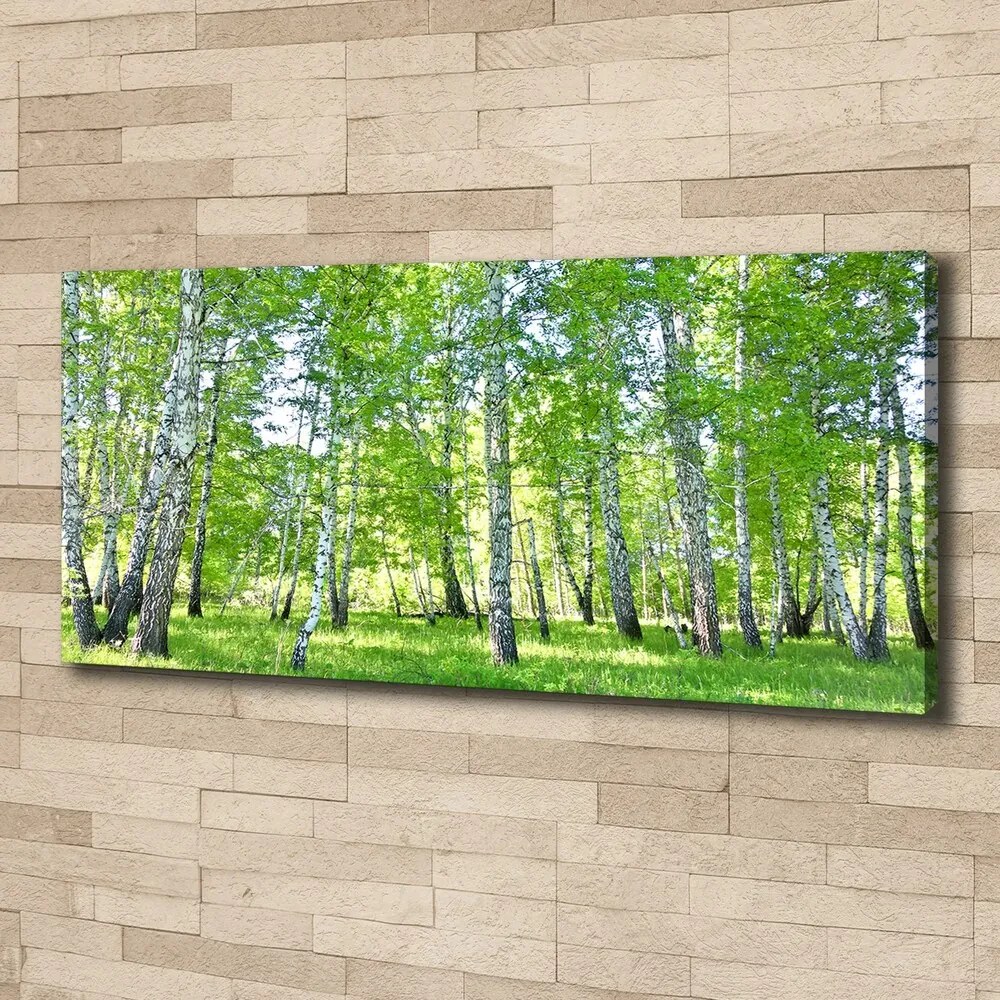 Imprimare tablou canvas Mesteceni