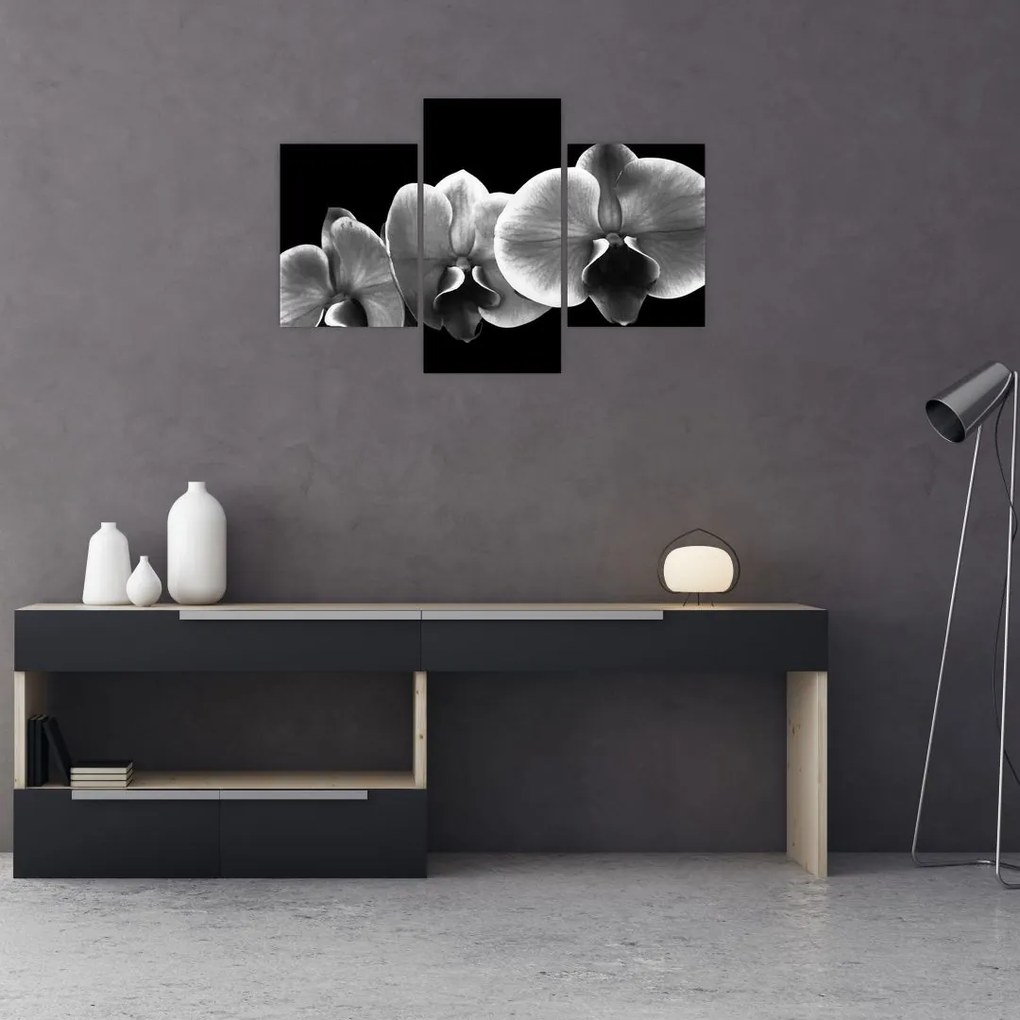 Tablou floare de orhidee (90x60 cm)