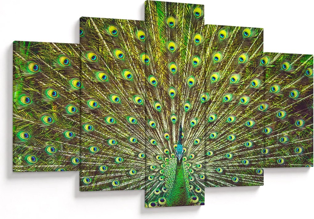 Tablou - Peacock (150x105 cm)