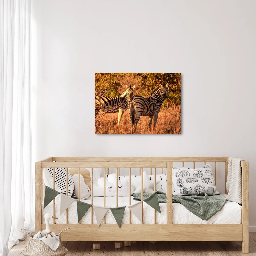 Tablou cu zebre (70x50 cm)