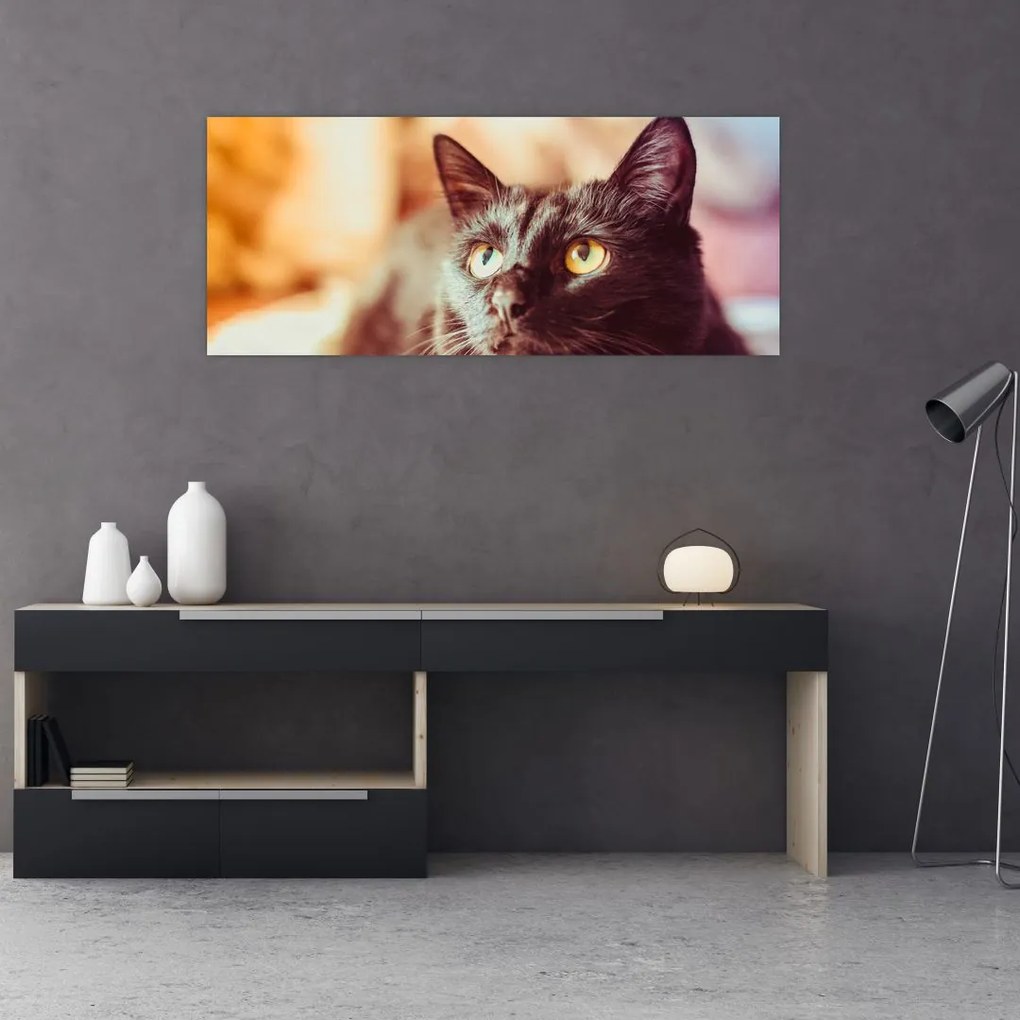 Tablou pisica neagră (120x50 cm)