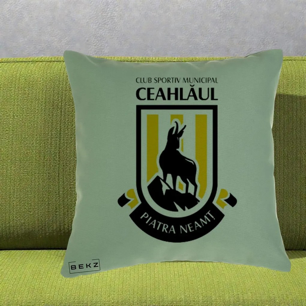 Perna Personalizata CSM Ceahlaul Piatra Neamt Fotbal, 40x40 cm, Verde, Husa Detasabila, Perna Inclusa, BEKZ®