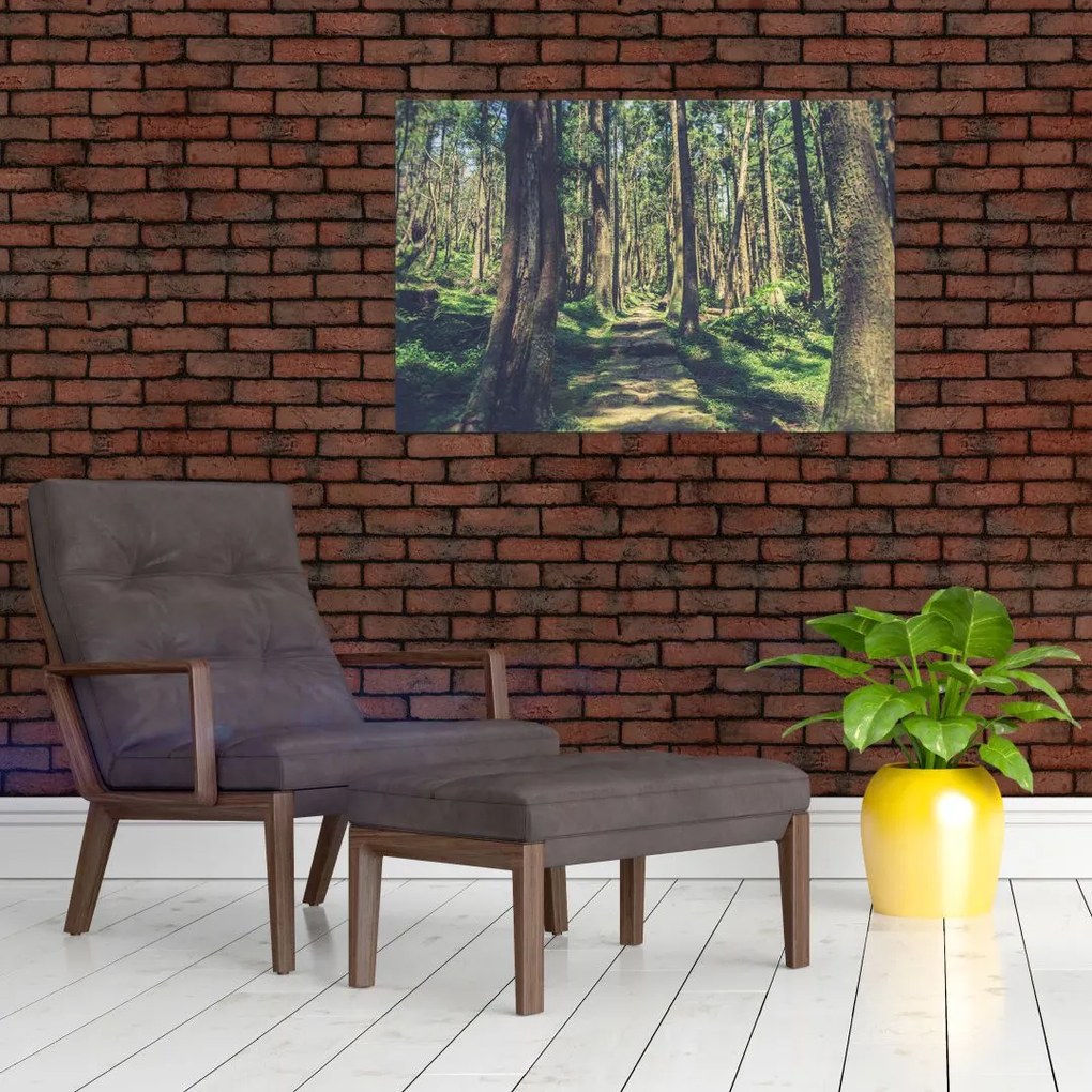 Tablou cu drum între copaci (90x60 cm)