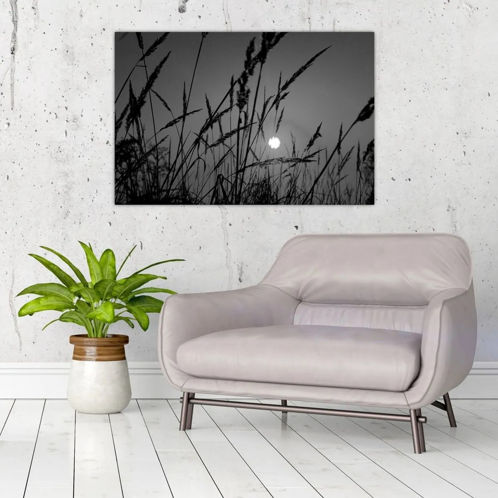 Tablou - Pajiște cu apus de soare (90x60 cm)