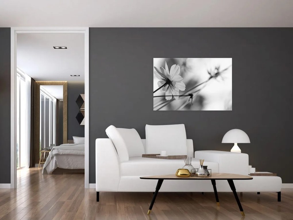 Tablou - Flori alb-negru (90x60 cm)