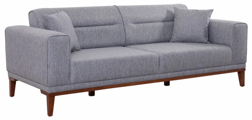 Set Canapea Extensibilă si Fotoliu Liones Tepsili, Gri